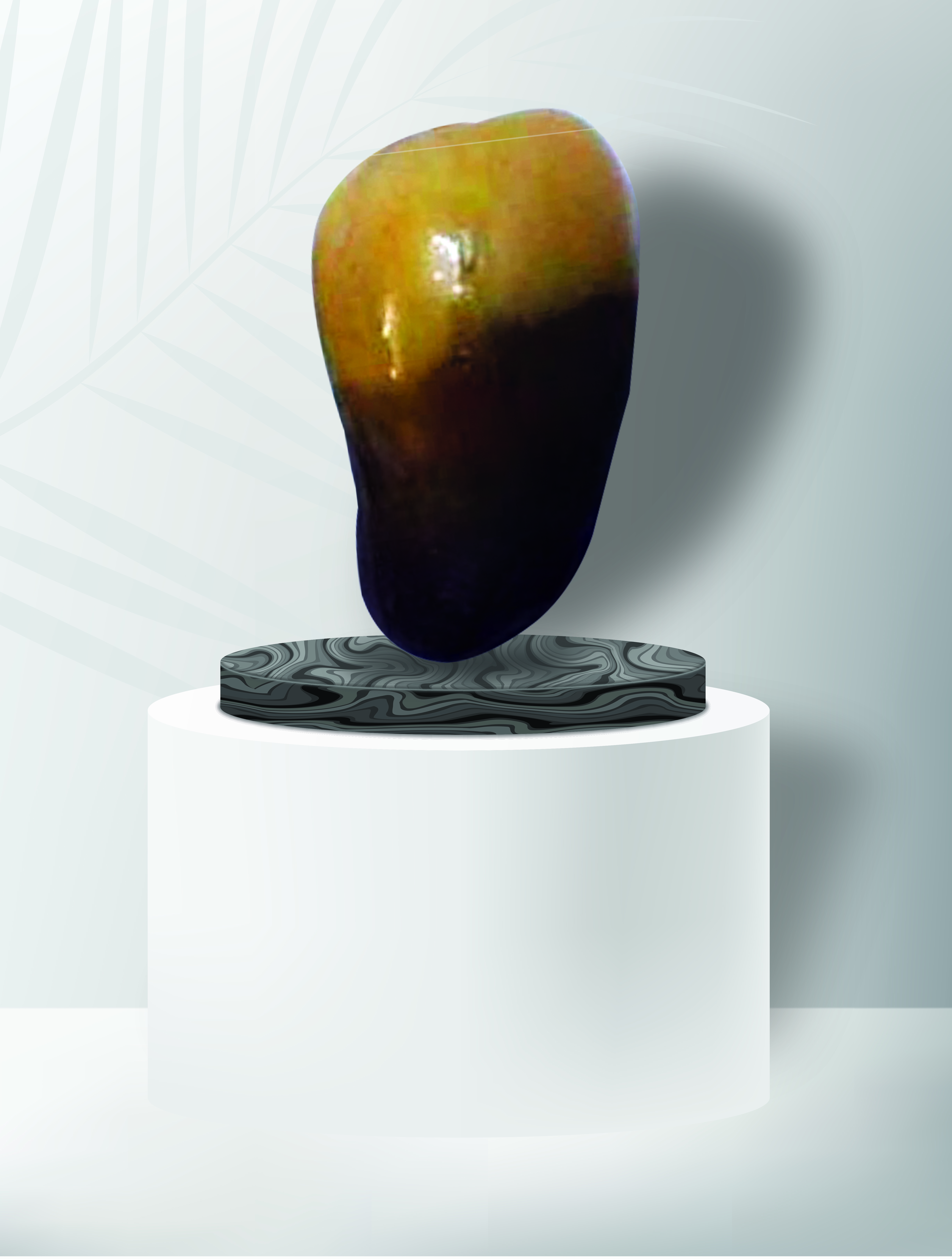 بيضاء المهد